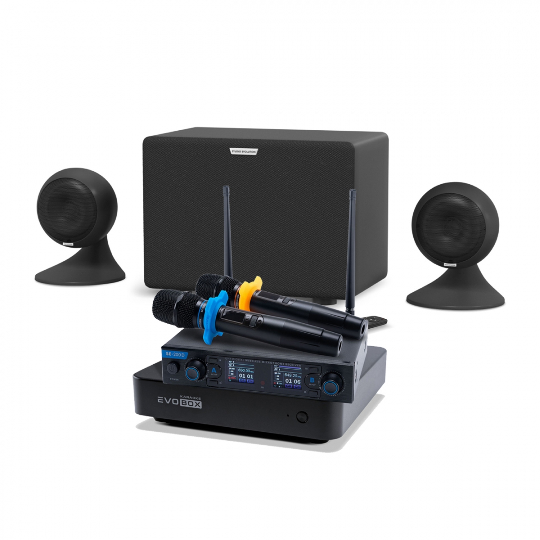 караоке-комплект EVOBOX + EvoSound Sphere 2.1 в Катав-Ивановске