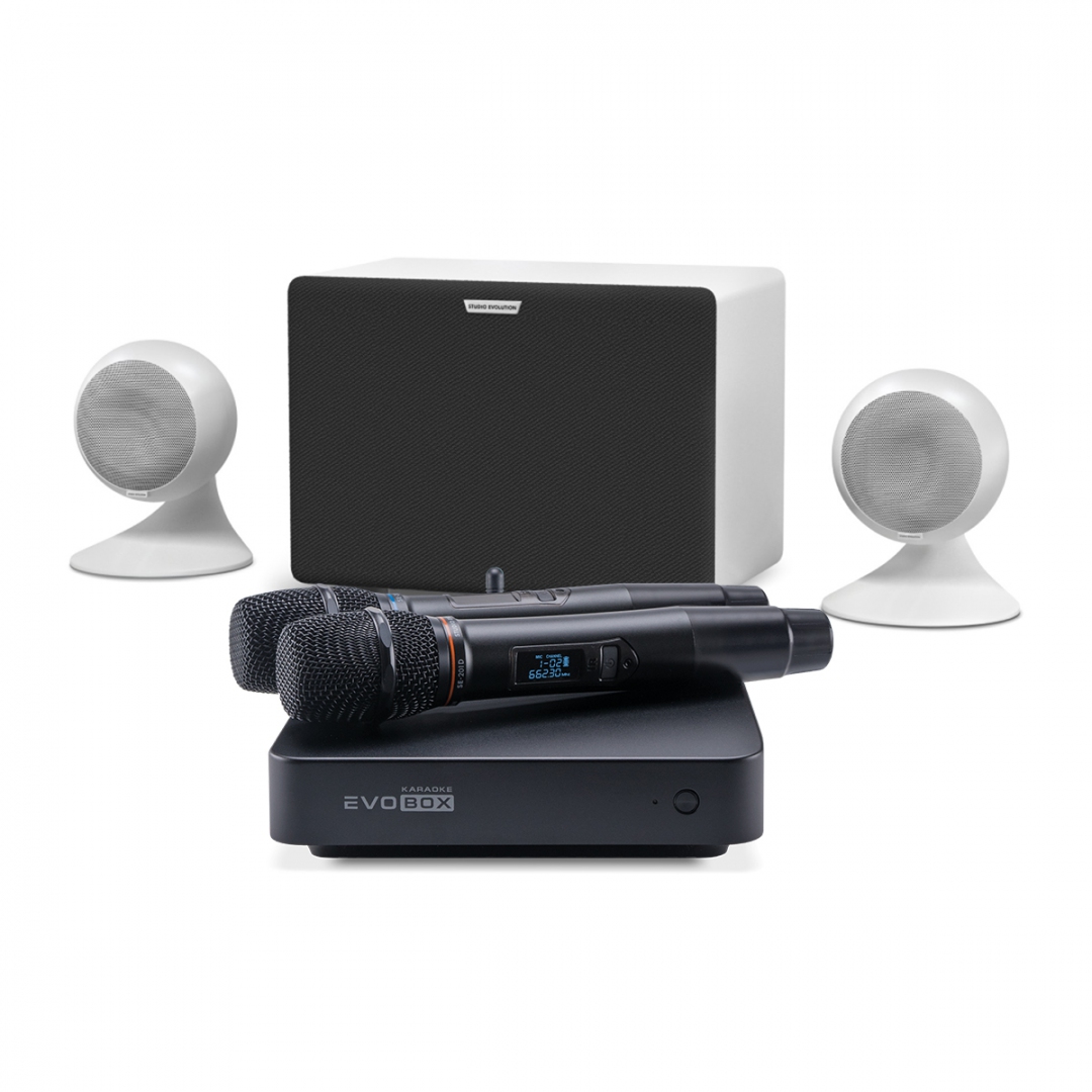 караоке-комплект EVOBOX Classic + EvoSound Sphere 2.1 в Катав-Ивановске