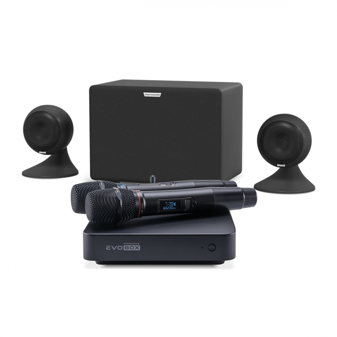 караоке-комплект EVOBOX Plus + EvoSound Sphere 2.1 в Катав-Ивановске