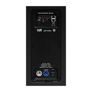 Активная акустическая система AST-310A в Катав-Ивановске