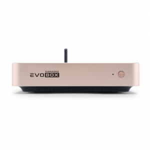 EVOBOX Plus караоке-система для дома в Катав-Ивановске