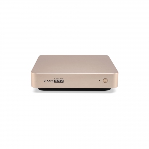 EVOBOX с микрофонами в Катав-Ивановске