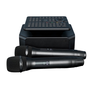 караоке-комплект для Дома AST ZOOM 1/2 и EvoSound Bar (Саундбар с караоке) в Катав-Ивановске